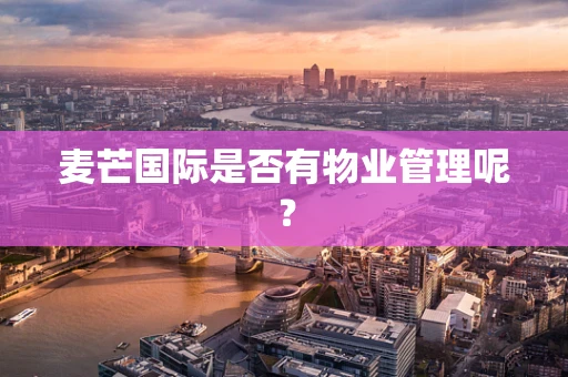 麦芒国际是否有物业管理呢？
