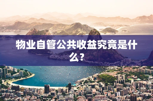 物业自管公共收益究竟是什么？