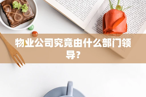 物业公司究竟由什么部门领导？