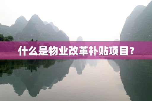 什么是物业改革补贴项目？