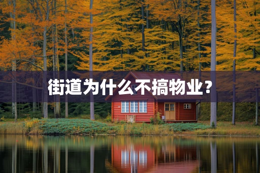街道为什么不搞物业？