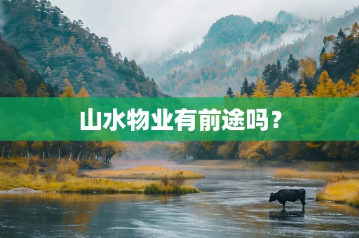 山水物业有前途吗？