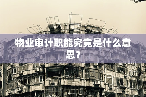物业审计职能究竟是什么意思？