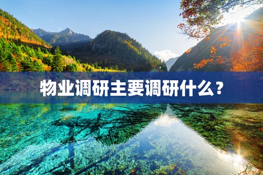 物业调研主要调研什么？