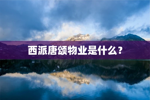 西派唐颂物业是什么？