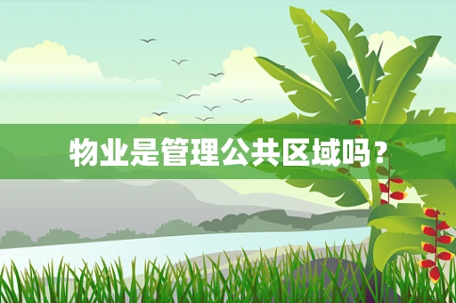 物业是管理公共区域吗？