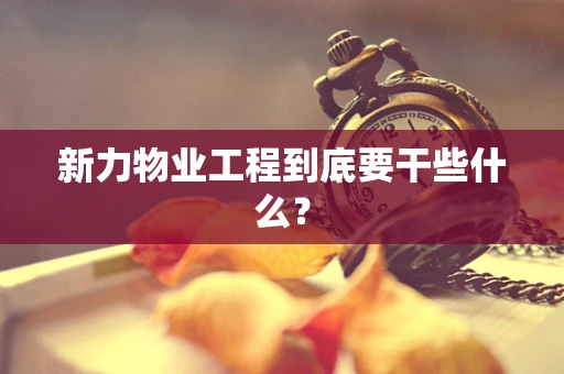 新力物业工程到底要干些什么？