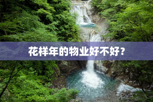 花样年的物业好不好？