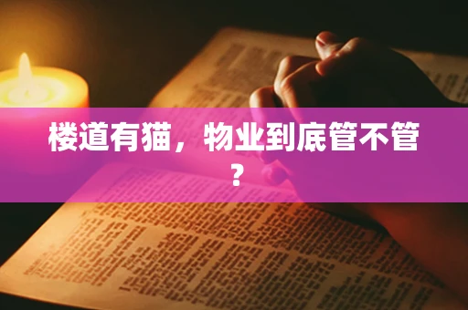 楼道有猫，物业到底管不管？