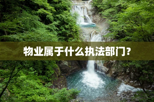 物业属于什么执法部门？