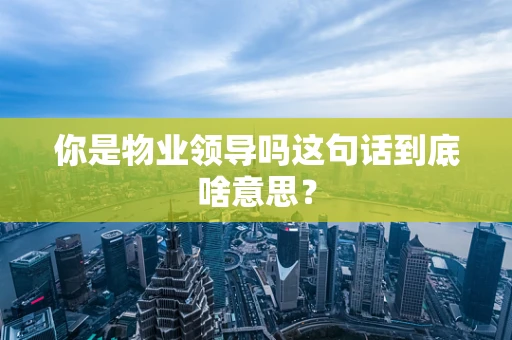 你是物业领导吗这句话到底啥意思？