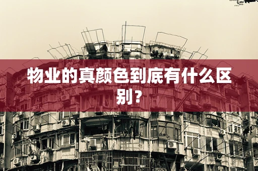 物业的真颜色到底有什么区别？