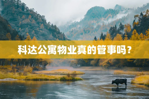 科达公寓物业真的管事吗？