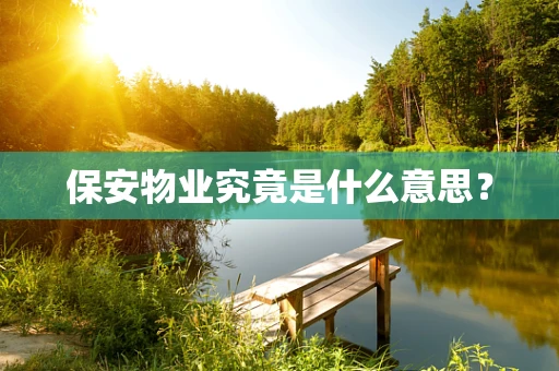 保安物业究竟是什么意思？