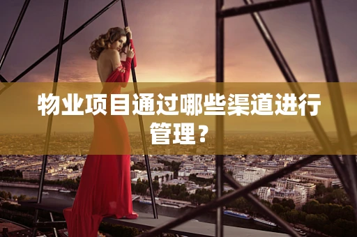 物业项目通过哪些渠道进行管理？