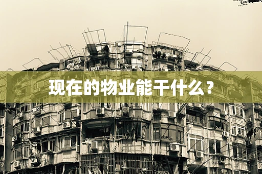 现在的物业能干什么？