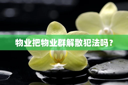 物业把物业群解散犯法吗？