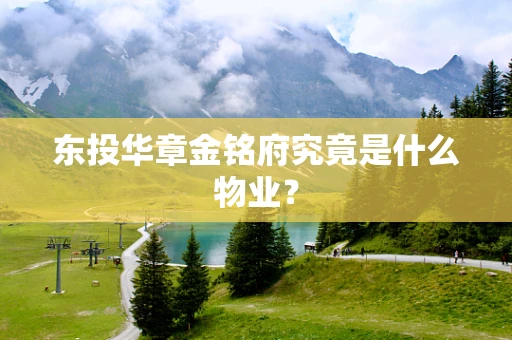 东投华章金铭府究竟是什么物业？