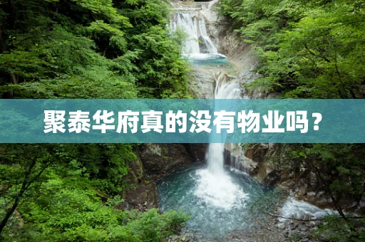 聚泰华府真的没有物业吗？