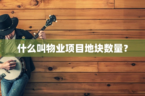 什么叫物业项目地块数量？