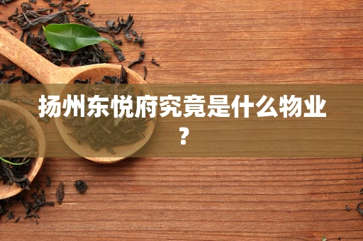 扬州东悦府究竟是什么物业？