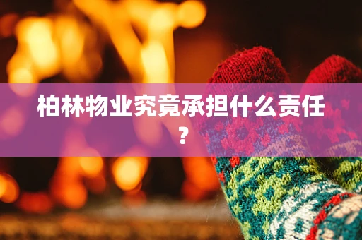 柏林物业究竟承担什么责任？