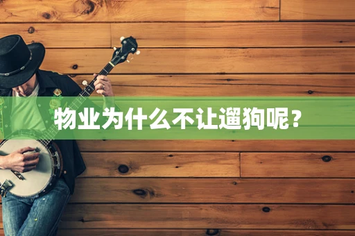 物业为什么不让遛狗呢？
