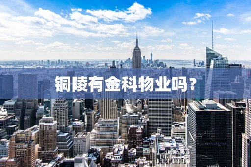 铜陵有金科物业吗？