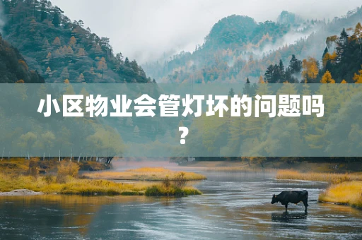 小区物业会管灯坏的问题吗？