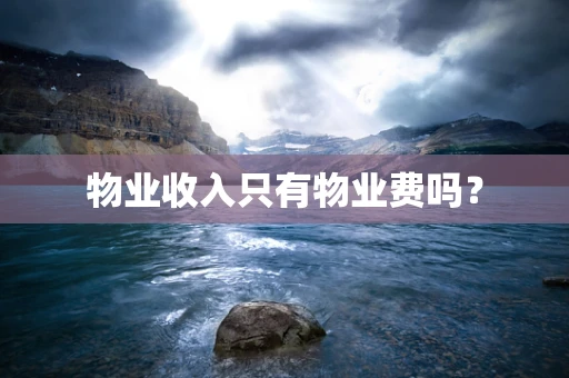 物业收入只有物业费吗？