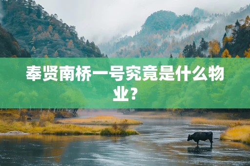 奉贤南桥一号究竟是什么物业？