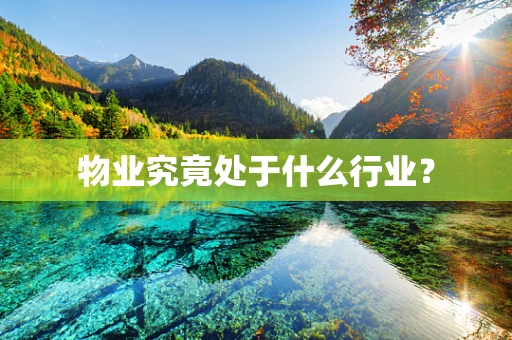 物业究竟处于什么行业？