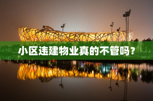 小区违建物业真的不管吗？