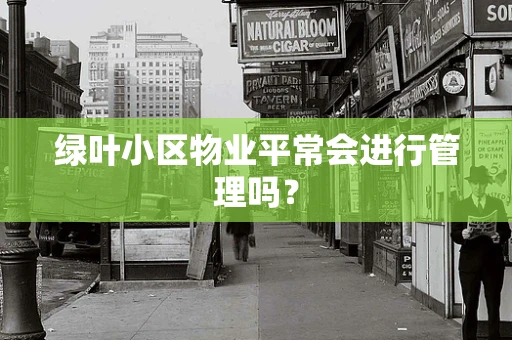 绿叶小区物业平常会进行管理吗？