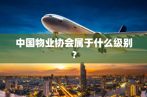 中国物业协会属于什么级别？