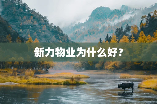 新力物业为什么好？