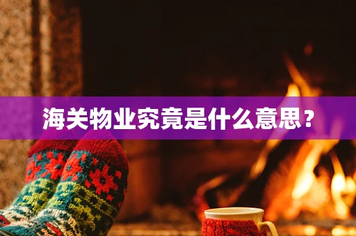 海关物业究竟是什么意思？
