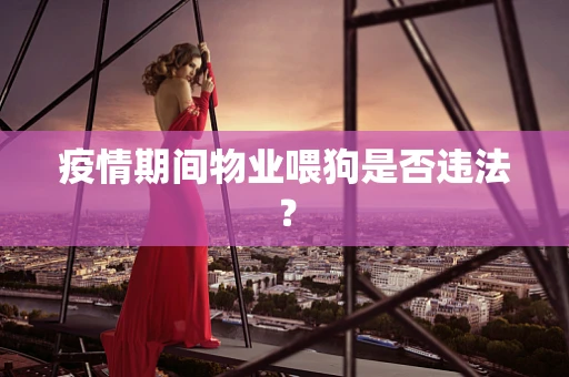疫情期间物业喂狗是否违法？