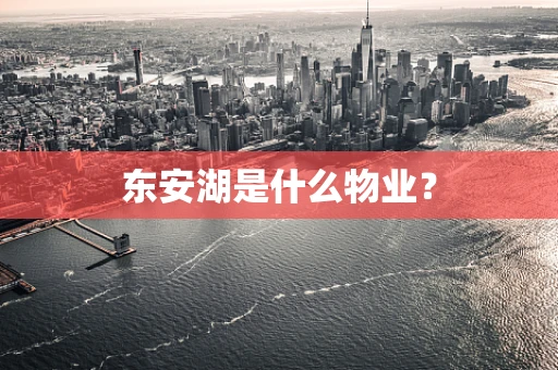 东安湖是什么物业？