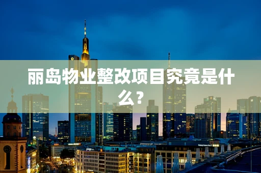 丽岛物业整改项目究竟是什么？