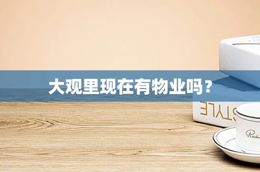 大观里现在有物业吗？