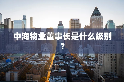 中海物业董事长是什么级别？