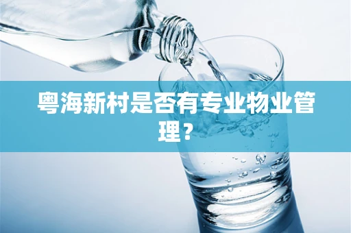 粤海新村是否有专业物业管理？