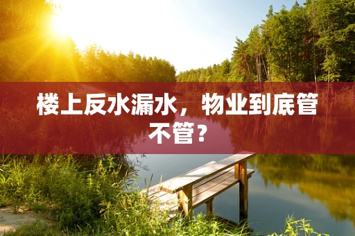 楼上反水漏水，物业到底管不管？