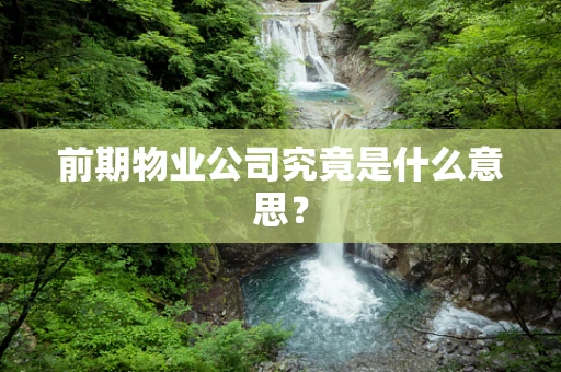 前期物业公司究竟是什么意思？
