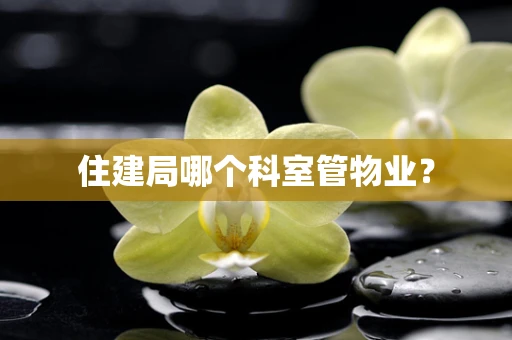 住建局哪个科室管物业？