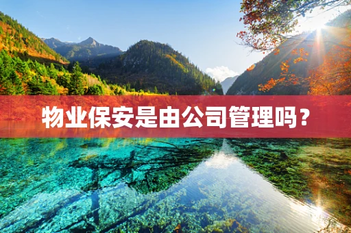 物业保安是由公司管理吗？