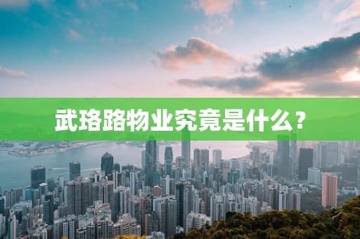 武珞路物业究竟是什么？