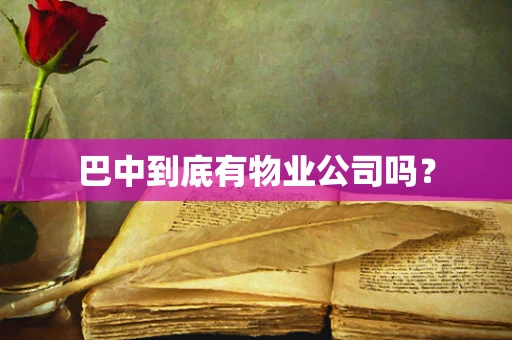巴中到底有物业公司吗？
