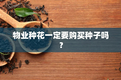 物业种花一定要购买种子吗？